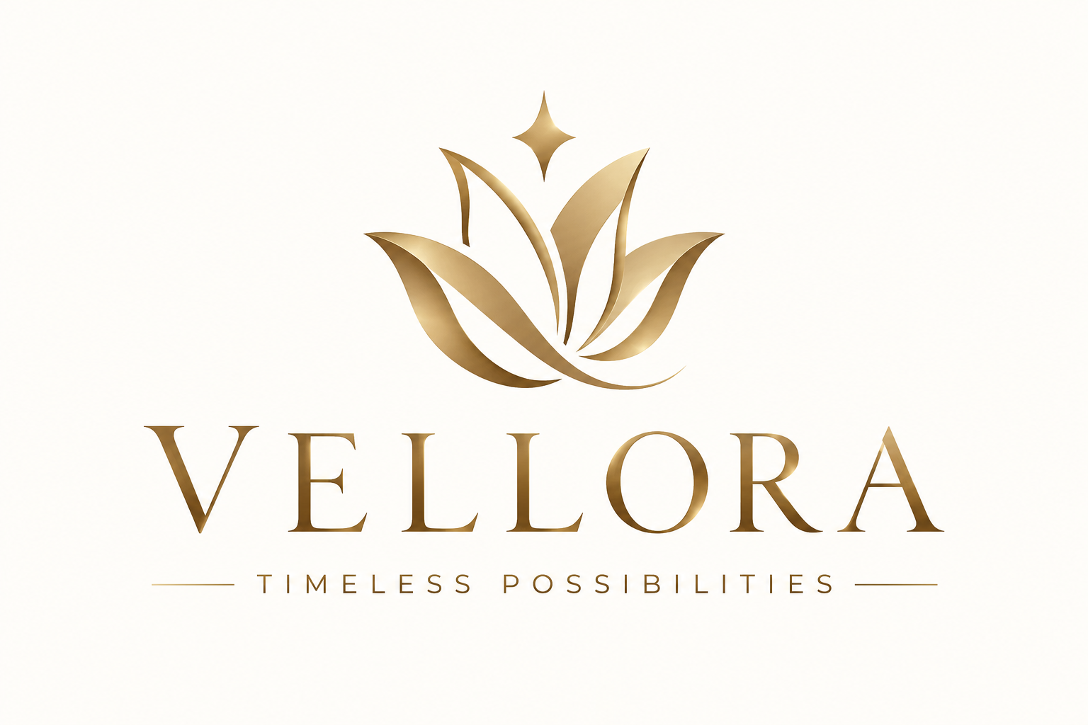 Vellora premium logo example
